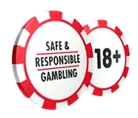 Safe and responsible gambling 18+ certification badge