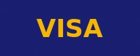 Visa accepted payment method logo at Casiny
